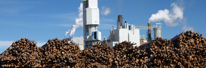 Pulp and Paper Engineering Staffing Services